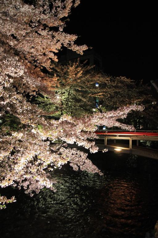 Business Daiichi Hotel Omihachiman Zewnętrze zdjęcie